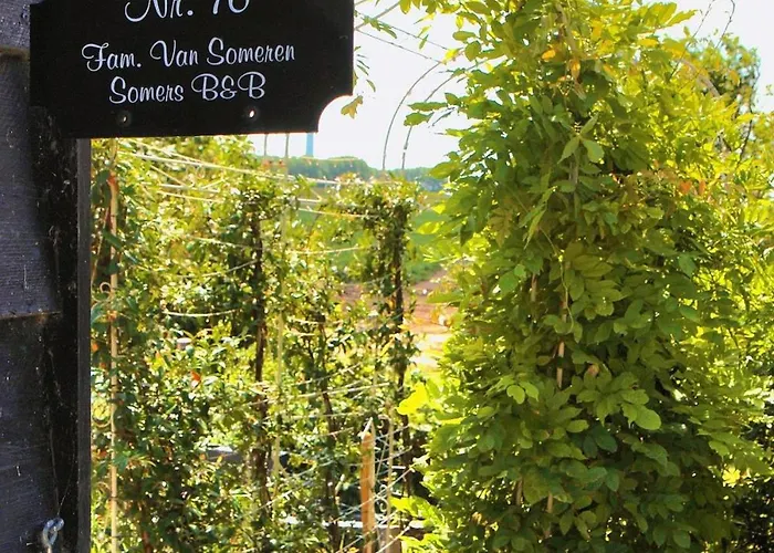 Somers Loft Отель типа 